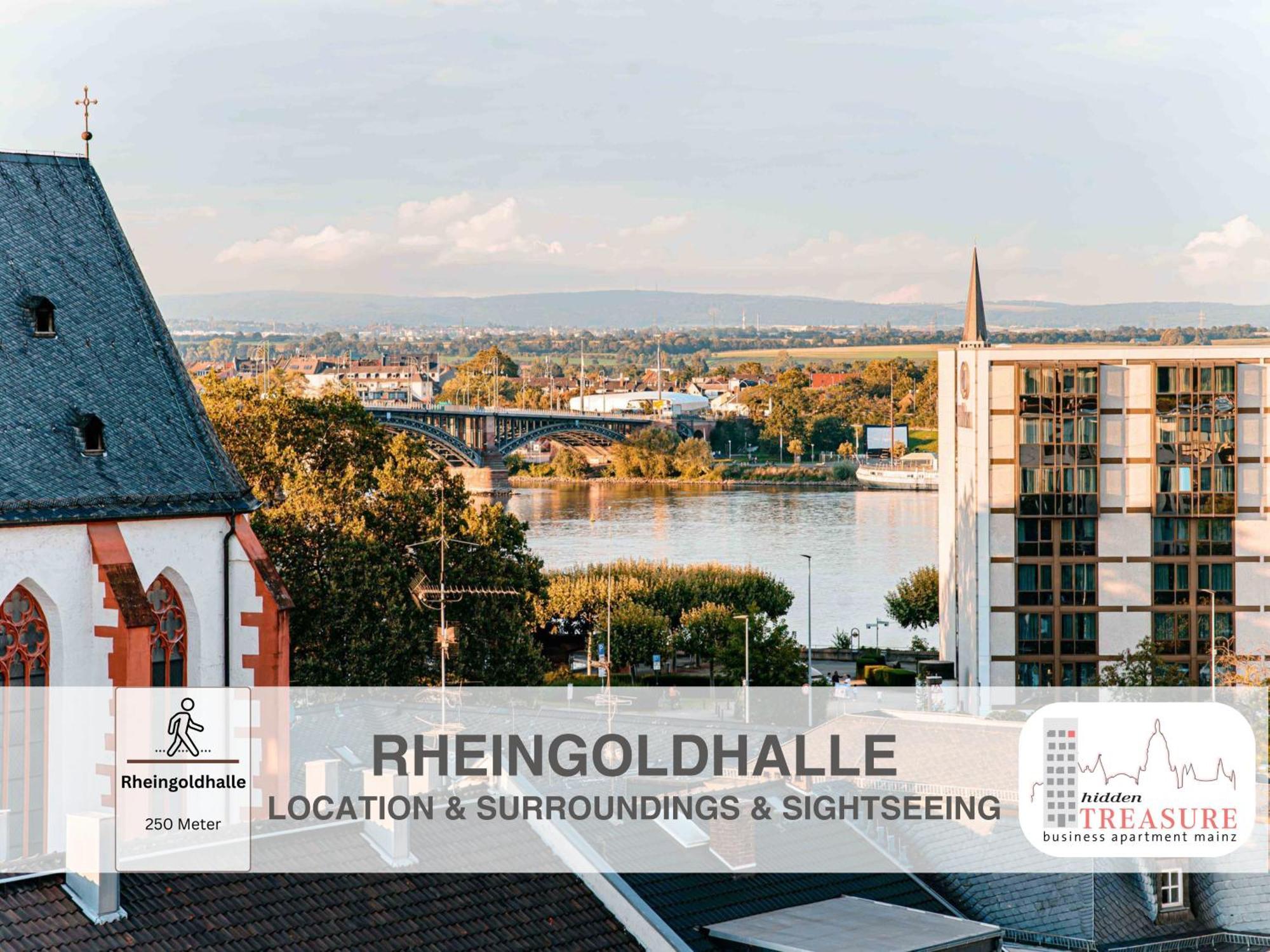 Hidden Treasure Business Apartment Mainz - Fantastic Rhine View In Center Of Mainz Old Town ภายนอก รูปภาพ