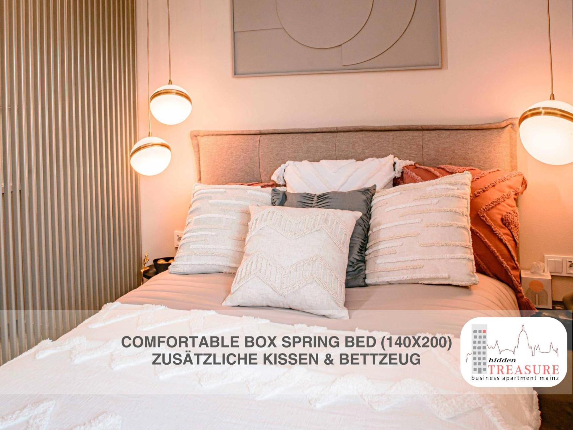 Hidden Treasure Business Apartment Mainz - Fantastic Rhine View In Center Of Mainz Old Town ภายนอก รูปภาพ